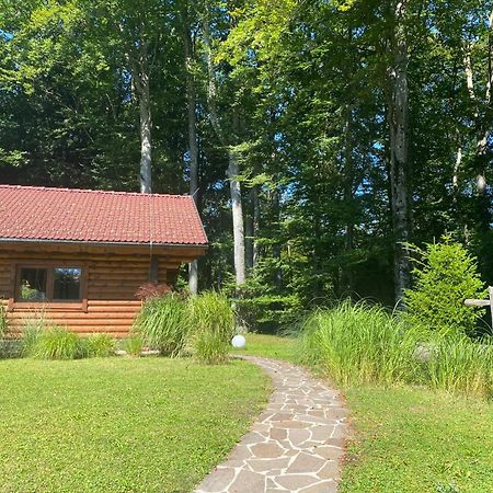 Villa Huette Am Wald Hof bei Salzburg Exterior foto
