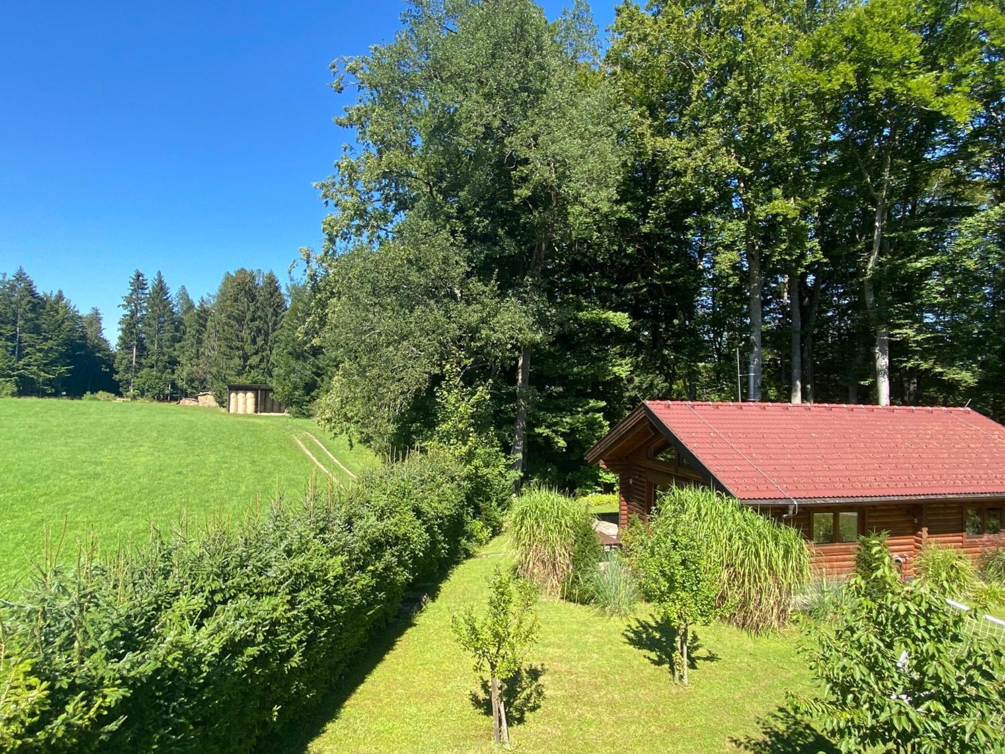 Villa Huette Am Wald Hof bei Salzburg Exterior foto